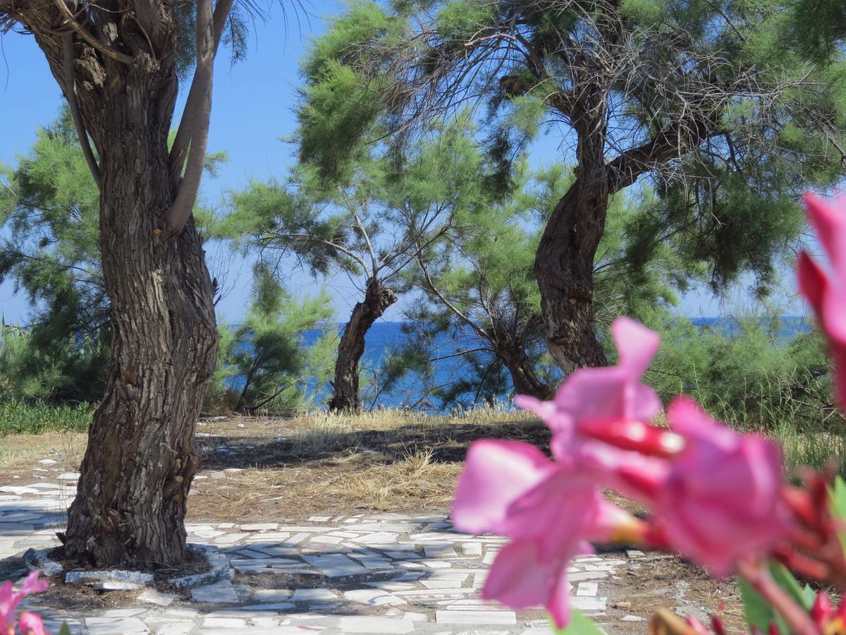 Loukas Beach Rooms Kiotári Kültér fotó